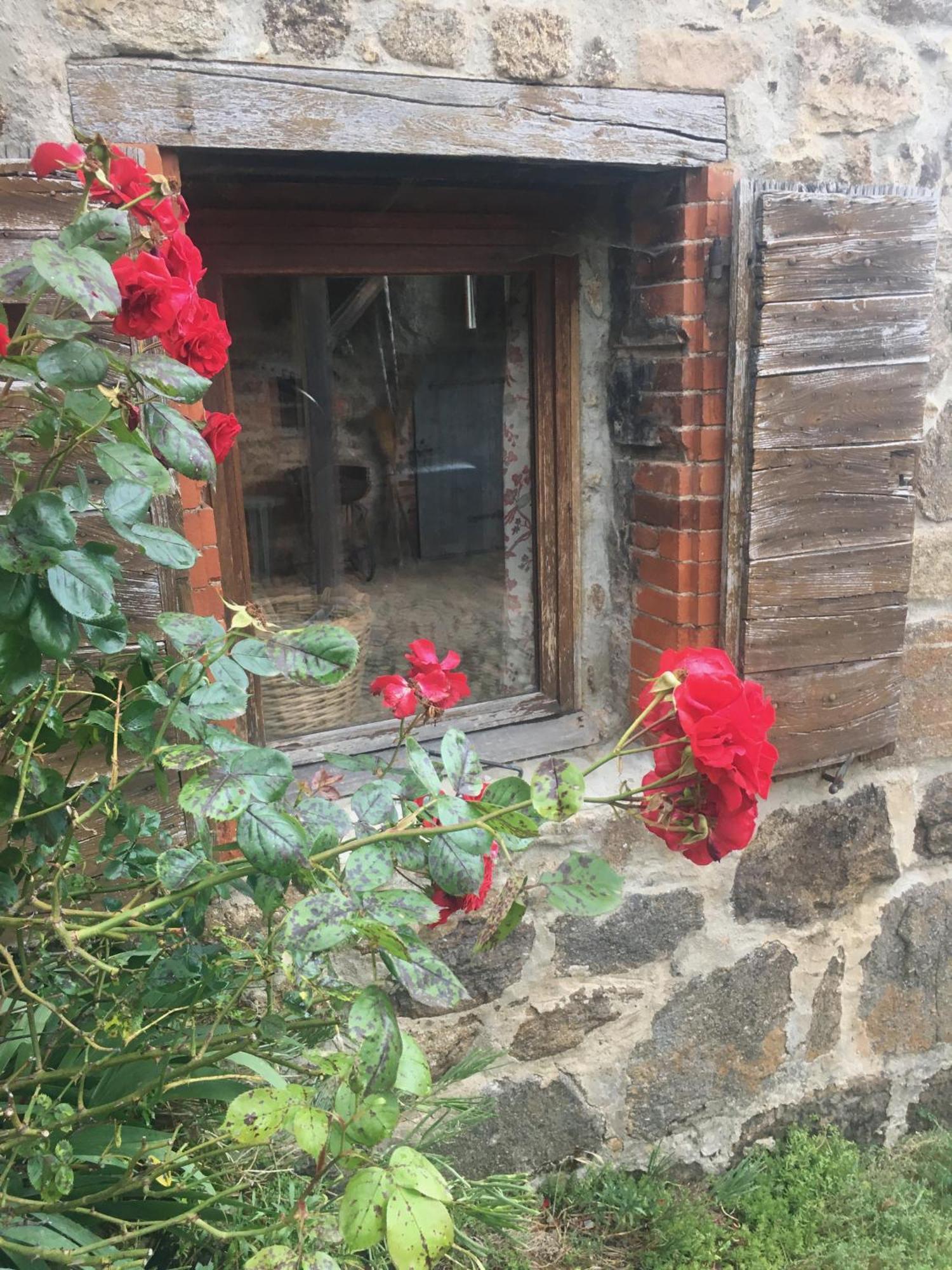 Gites De Gobertier Saint-Alban-d'Ay Exterior foto